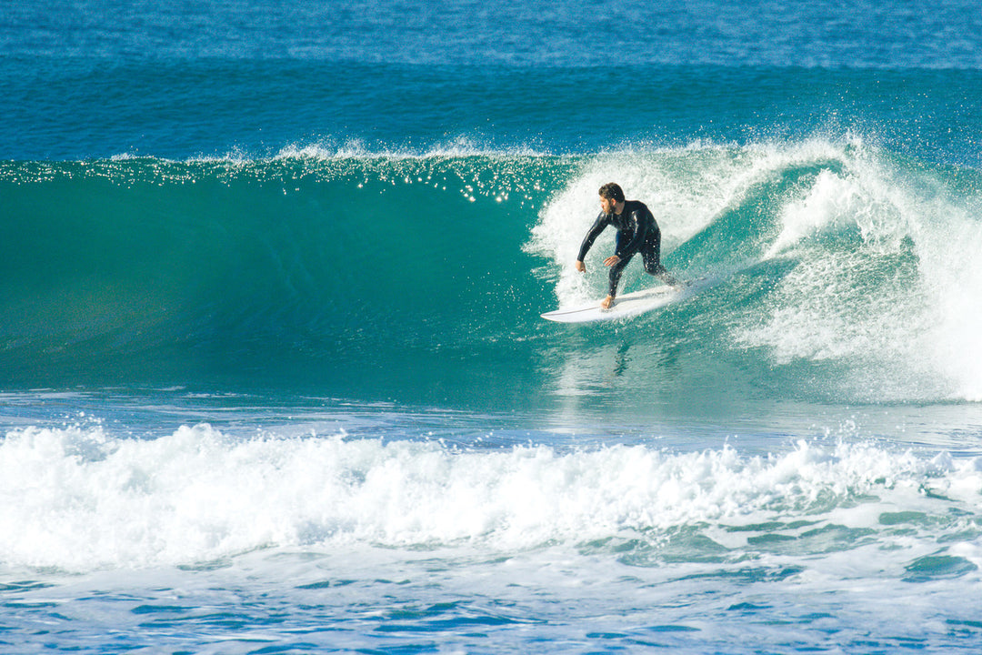 6' Retro Fish (NexGen Epoxy)