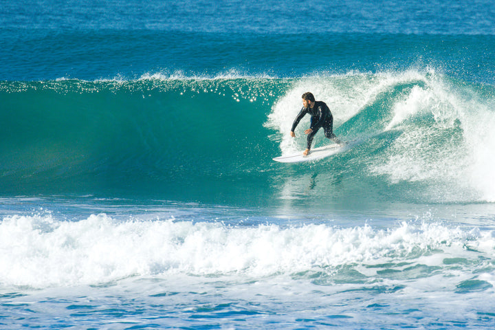 6' Retro Fish (NexGen Epoxy)